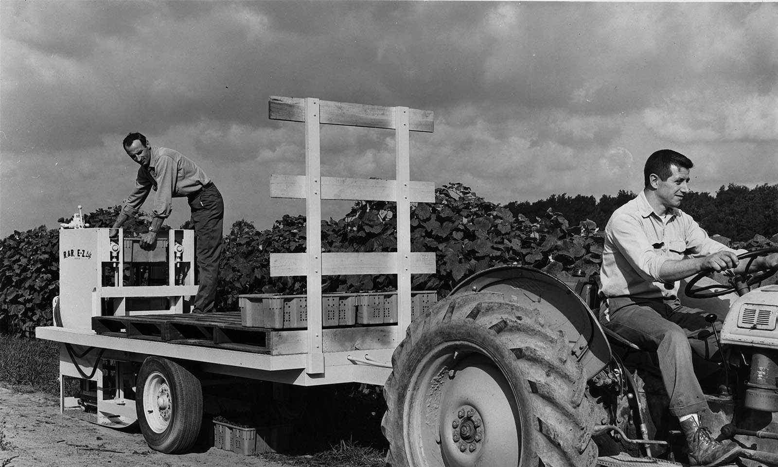 E-Z Lift Grape Box Harvester, Circa 1969